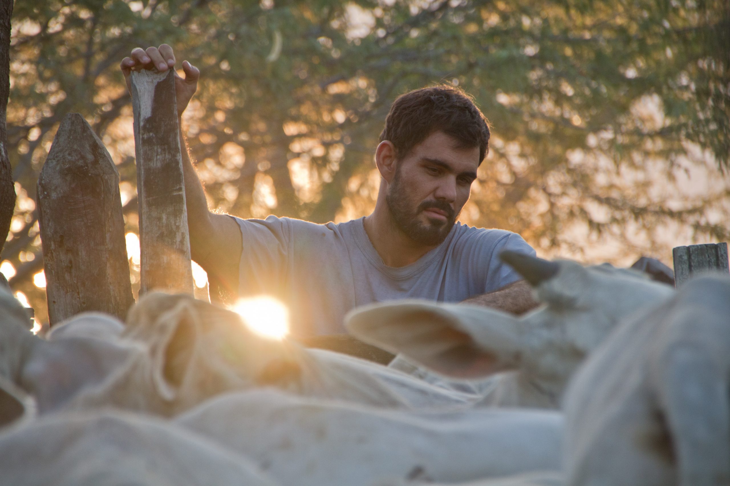 Boi Neon_by Gabriel Mascaro_foto still_mateus_sa